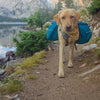 Bark Ranger Desert Survival Bandana