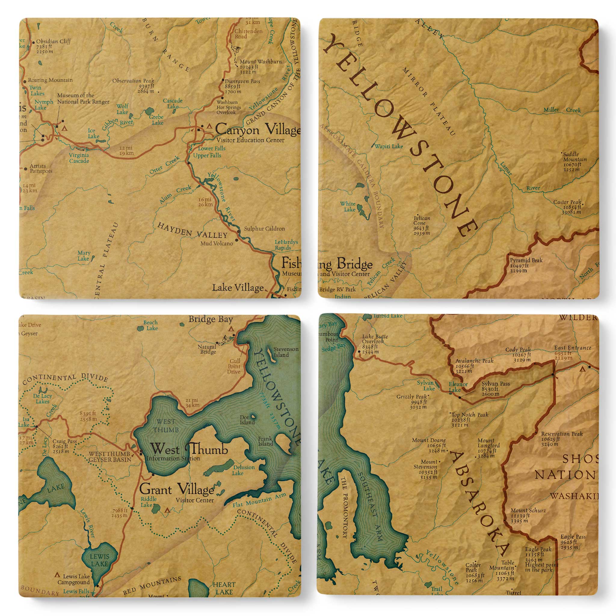 Yellowstone Y Square Coasters - Yellowstone Style